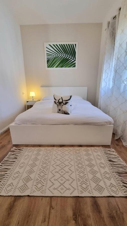 Villa Gal Ейлат Екстериор снимка